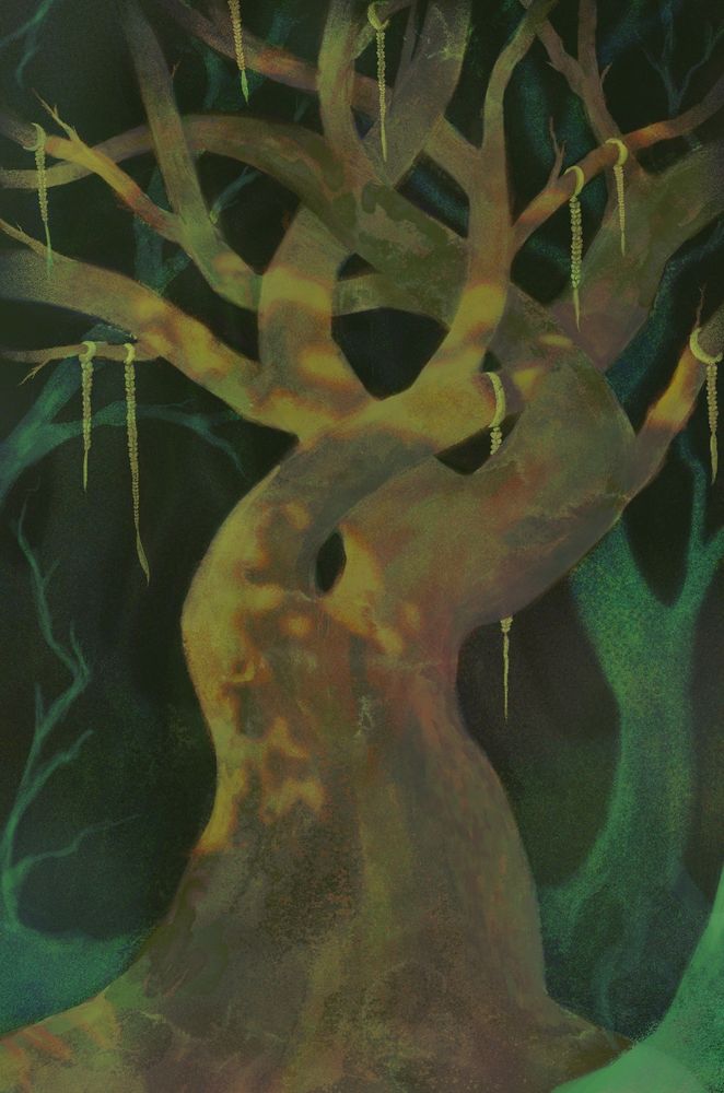 An illustration by Hazel Budzinski. The main focus of the piece is a large tree, with branches that twist in and out of each other. Tied around branches are golden braids of varying lengths. The tree has lichen and moss upon it's branches, and surrounding this tree are turquoise ghostly visages of other trees. There is a grain to the illustration, overall giving a feeling of a flash photo taken at night, or something taken with a night camera.
