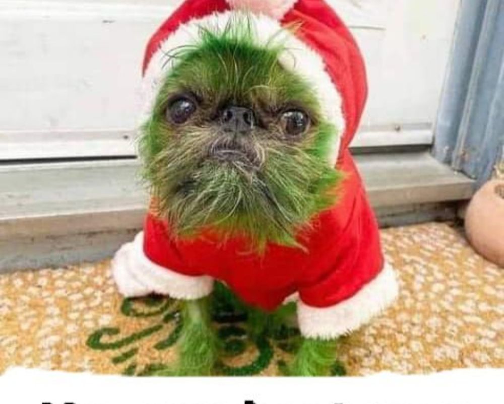 Needing house cleaner DM 