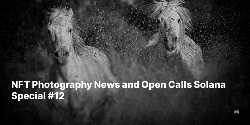 NFT Photography News and Open Calls Solana Special #12