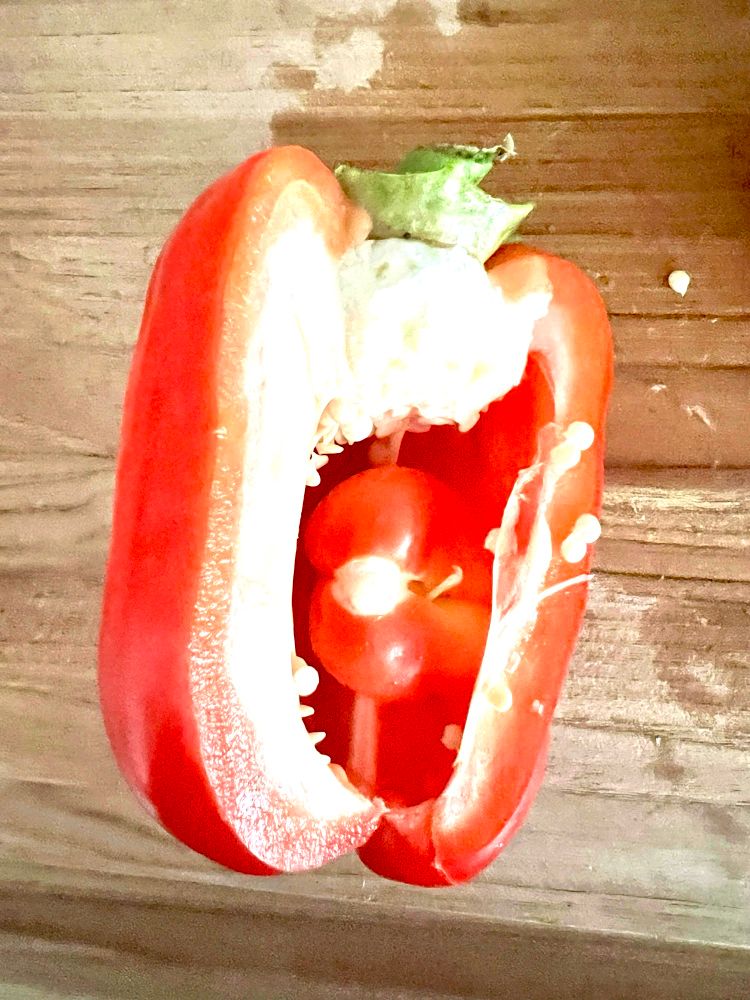 Baby red bell pepper inside mama red bell pepper on a cutting board. Big bell pepper is sliced in half.