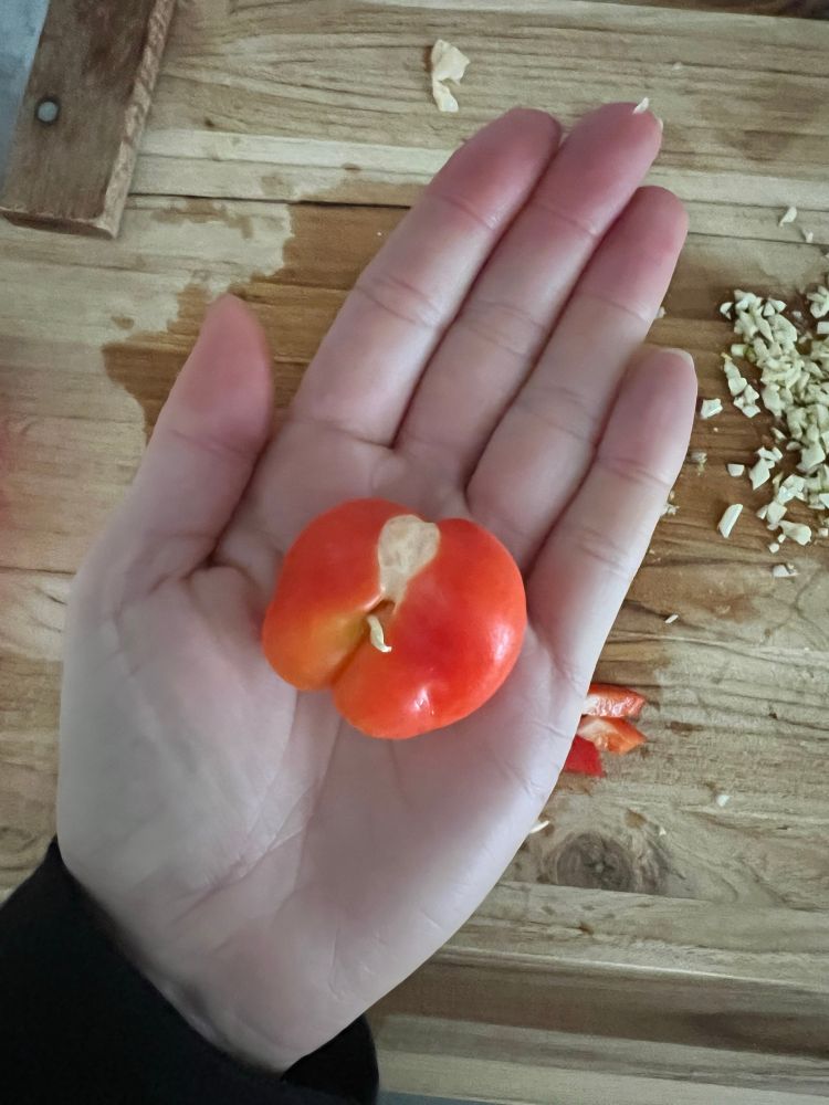 Baby bell pepper in my palm