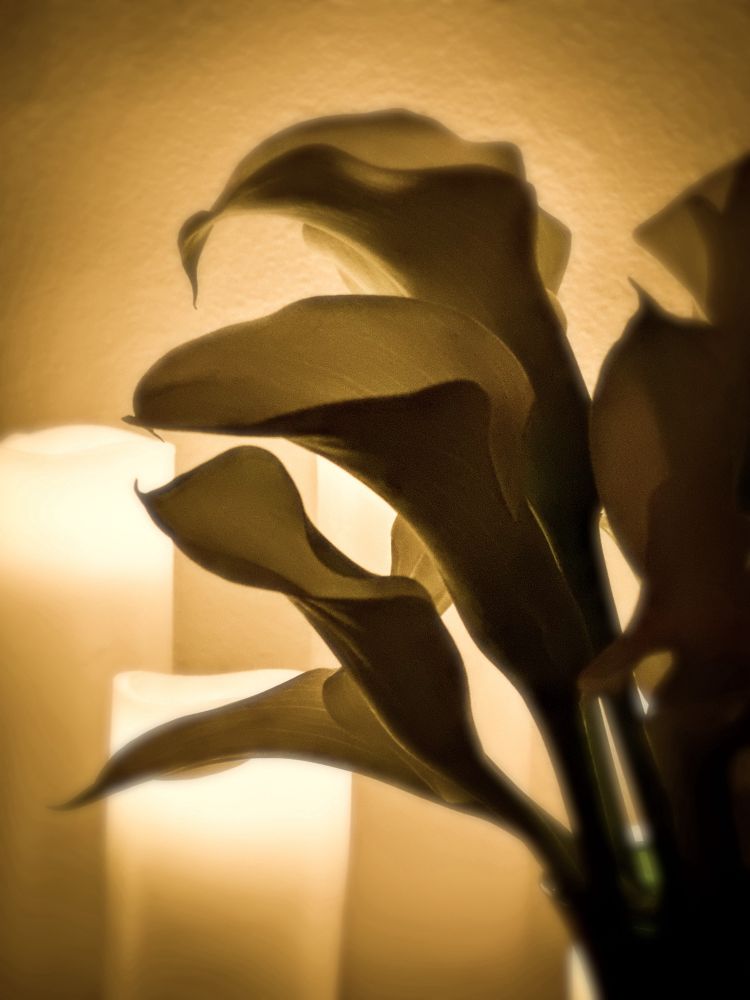 A close-cropped photo of a small calla lily flower arrangement. There are orange glowing pillar candles in the background. The image is a cozy and contemplative piece.