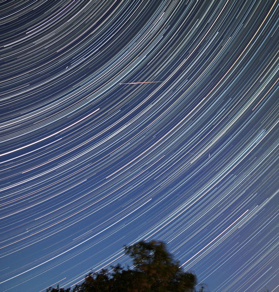 Different coloured lines of light - the result of the stars trailing through a long exposure photograph. The star trails sit above a tree with a meteor streaking through the upper centre of the image.