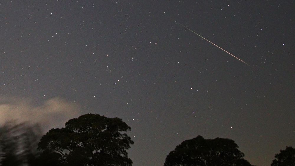 A Perseid meteor in the constellation of Aquarius, with some trees in the foreground. Captured at 23:22 UT on 4 August 2025.
