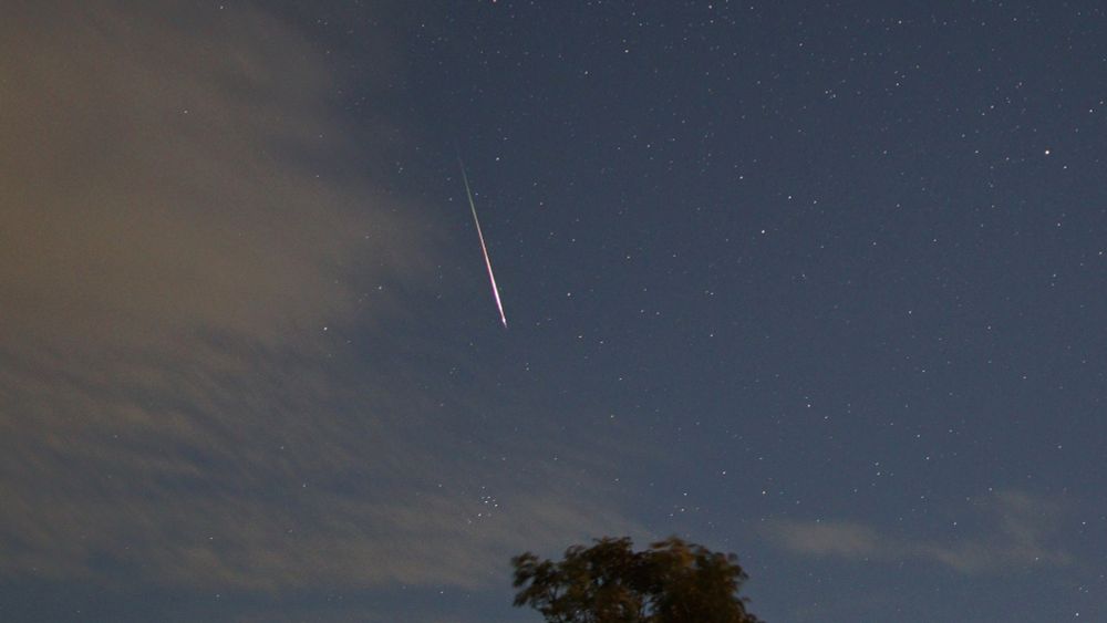 An orange and green Perseid meteor streaks downward towards a tree. Some cloud encroaching from the left of the shot. The night sky has a blue colour to it, due to the bright Moon lighting up the sky.
