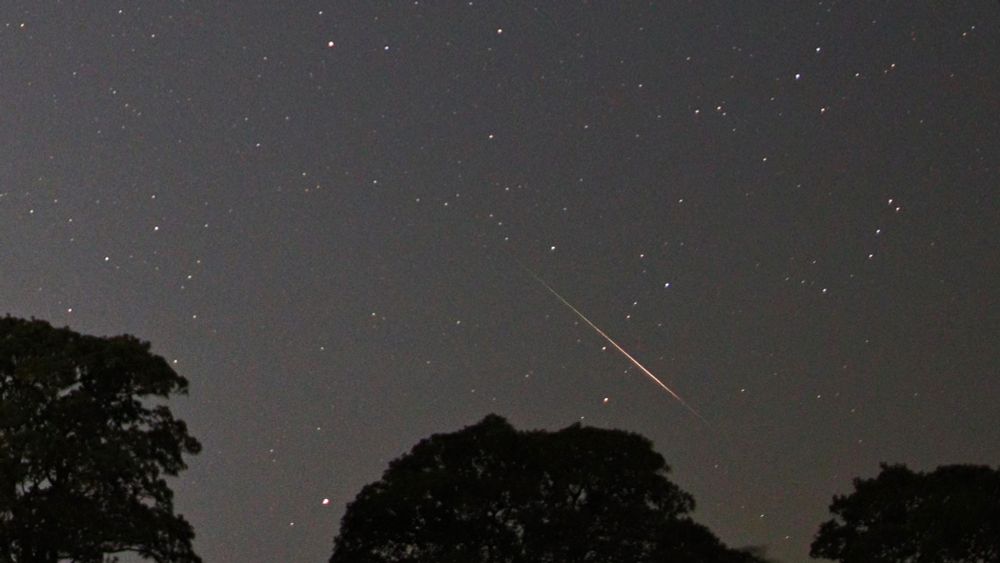 A Perseid meteor in the constellation of Cetus, with some trees in the foreground. Captured at 00:49 UT on 5 August 2025.