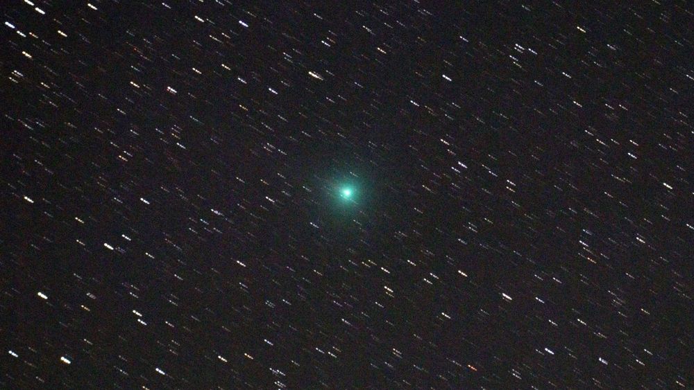 Image of comet C/2025 R2 (SWAN) taken on 25 October 2025 at 21:05 UT. The comet is a green diffuse object in the centre of the image. Stars are around it and seen as small trails due to the stacking process. Equipment and settings: Canon 250D DSLR through an Evostar 72ED telescope on a Star Adventurer mount. 20 stacked images at 13s exp, 420mm fl, f/5.8, ISO-3200.