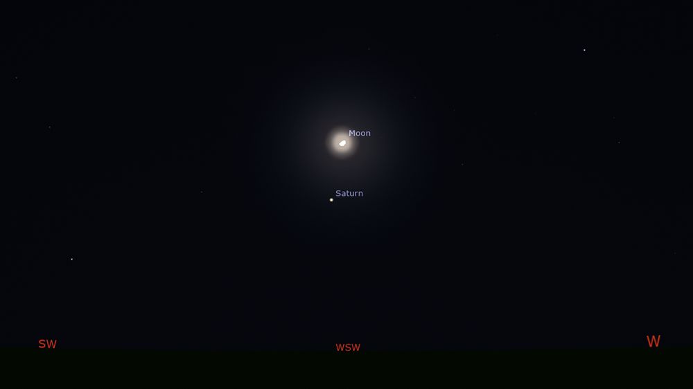 Stellarium graphic showing the 65% lit Moon near Saturn on the evening of 29 November 2025.