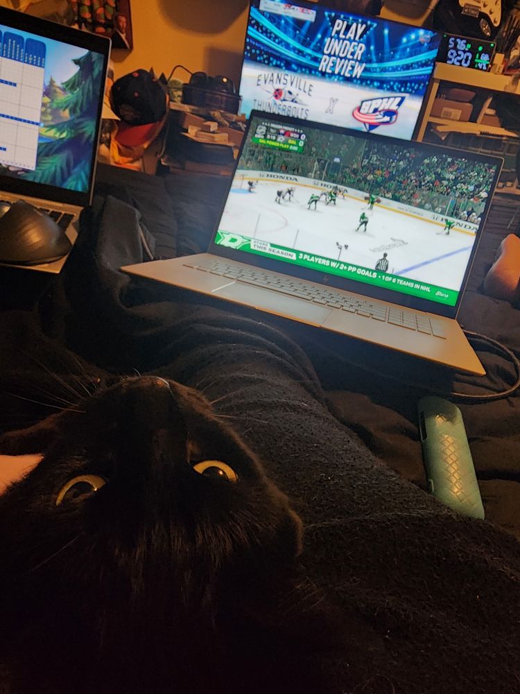 My black cat Eshne in my lap while I watch the Evansville Thunderbolts replay on the TV with the Washington Capitals and Dallas Stars game on the husband's laptop while I play games on my laptop