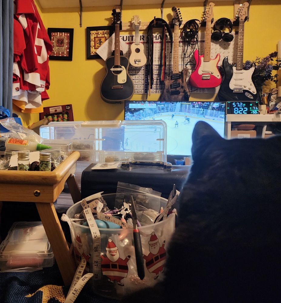 Lots of jewelry making craft stuff piled up in and around a lap stand on the bed. Television showing a hockey game under my husband's guitars and my black cat on my leg and in my way. There are a couple Red Wing jerseys hanging on the wall near the window with blue curtains