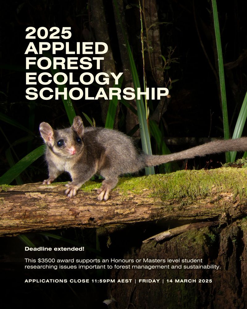 Image of a small marsupial and the text

"Deadline extended!

This $3500 award supports an Honours or Masters level student researching issues important to forest management and sustainability. 

Applications close 11:59pm AEST | FRIDAY | 14 March 2025"