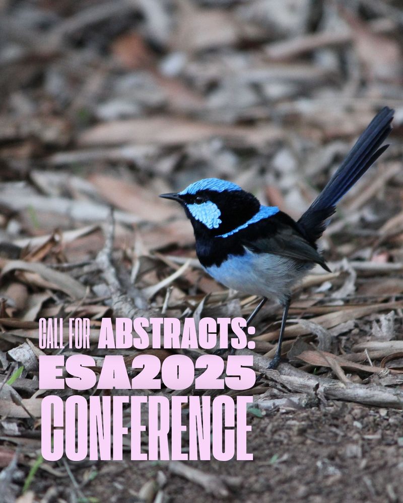 Call for abstracts: ESA2025 conference