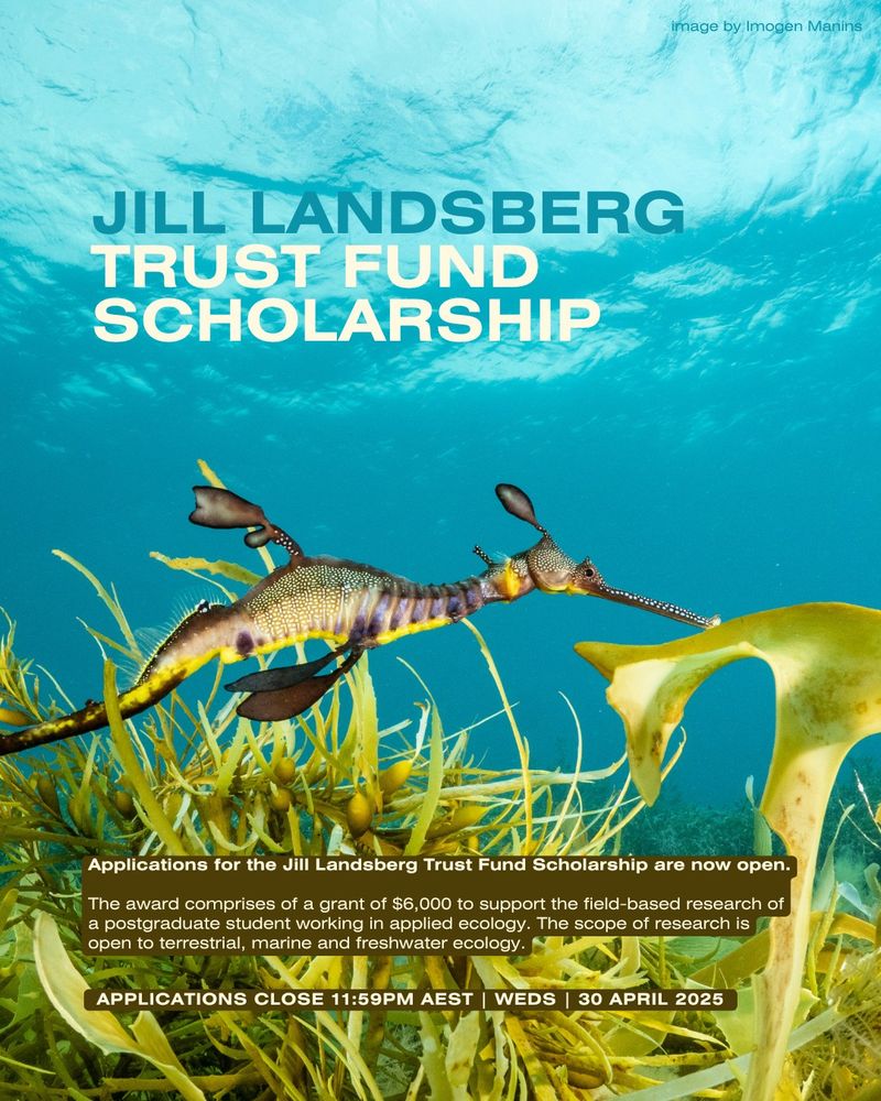 Image of a seahorse with the text

"Applications for the Jill Landsberg Trust Fund Scholarship are now open.

The award comprises of a grant of $6,000 to support the field-based research of a postgraduate student working in applied ecology. The scope of research is open to terrestrial, marine and freshwater ecology.

 Applications close 11:59pm AEST | Wednesday | 30 april 2025"
