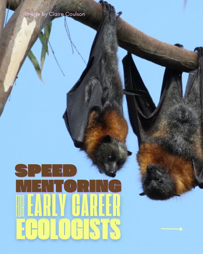Speed mentoring for early career ecologists