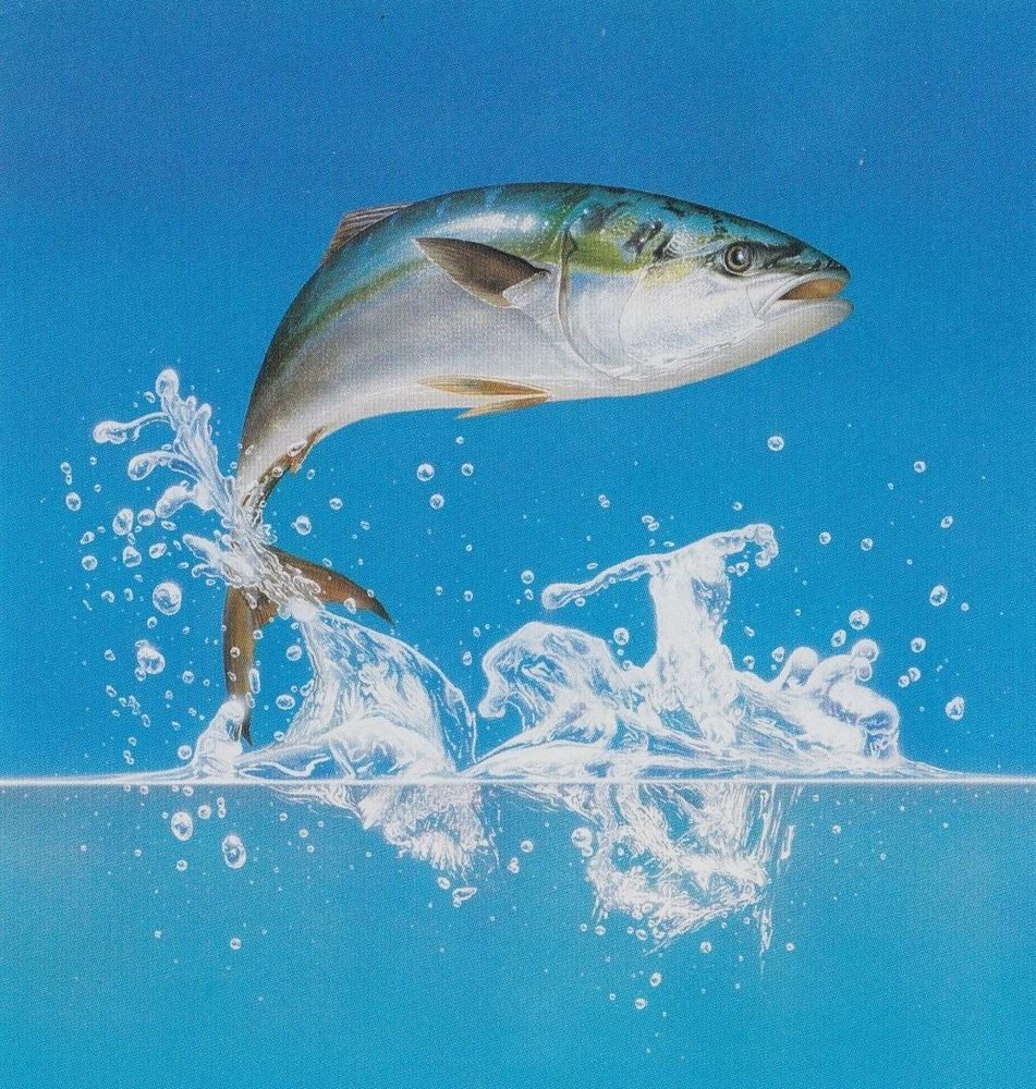 Ryoichi Hagiwara, 1986