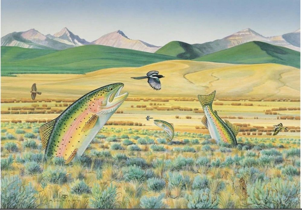 Monte Dolack, 1995