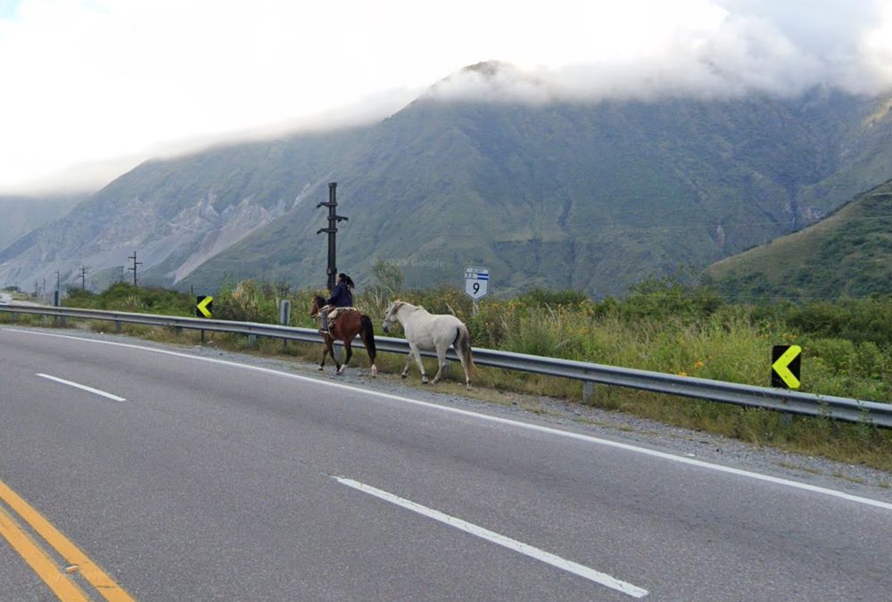 Google Street View screenshot: a person rides a brown horse on the shoulder of the road with a white horse trailing, national route 9, Jujuy, Argentina. Behind the roadside barrier, green mountains stand shrouded in fog.