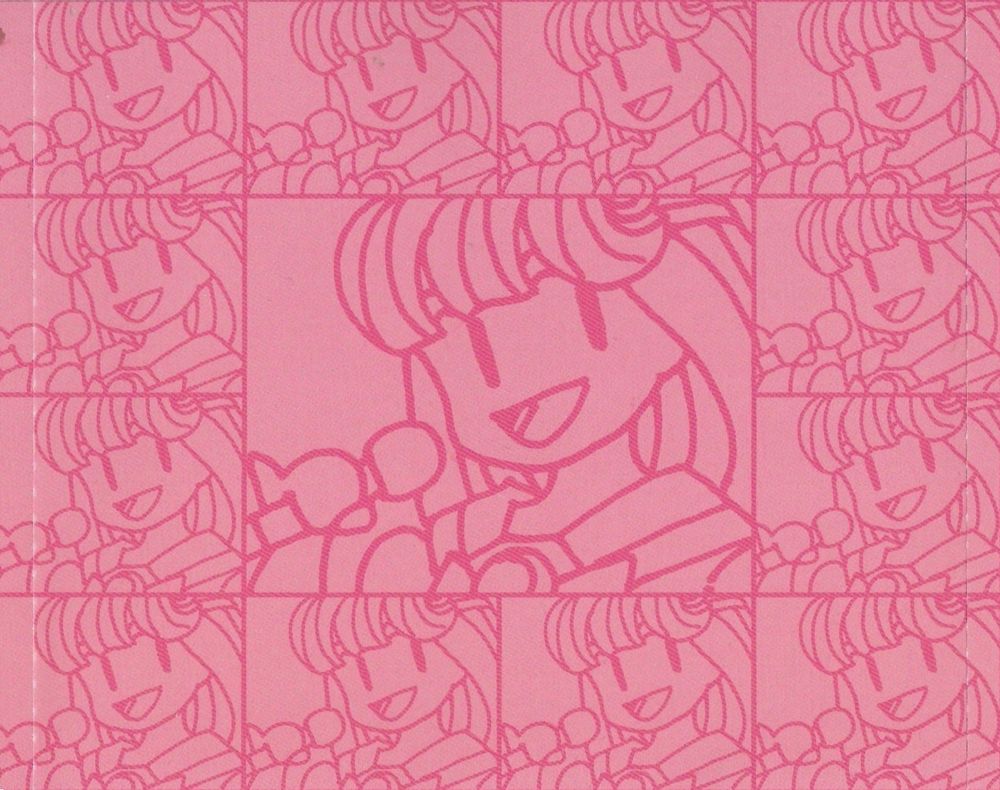 The inside page of the Idol Hakkenden Master HoeHoe Tracks Connoisseur Plus album from 2017. A series of outline drawings of Erika from the game are shown inside multiple boxes.