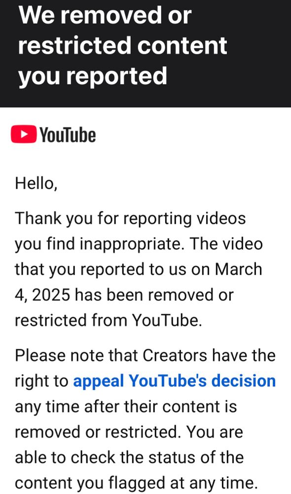 YouTube video report