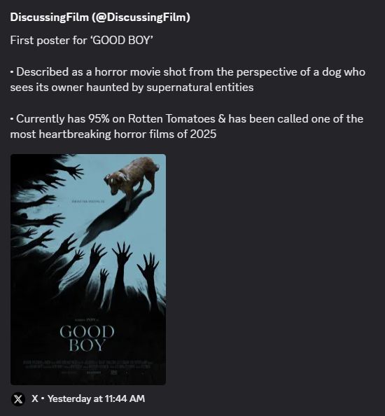 description pulled about GOOD BOY from a discussing Film link:

First poster for GOOD BOY

Described as a horror movie shot from the perspective of a dog who sees its owner haunted by supernatural entities

• Currently has 95% on Rotten Tomatoes & has been called one of the most heartbreaking horror films of 2025
