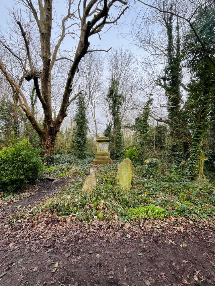 An overgrown Victorian cemetery path. It is very green and overcast.