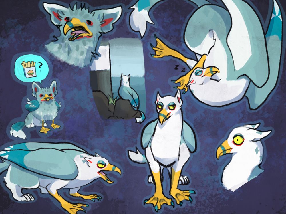 various drawings of Polaris the gullfin (gull griffin) most of them are him as an adult doing various poses, or sitting beside a lighthouse. there are two drawings of him as an awkward, fuzzy baby. one is asking for fries. will you give him some??