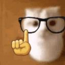 A cat wearing glasses and a yellow hand is pointing up aka Um actually meme.