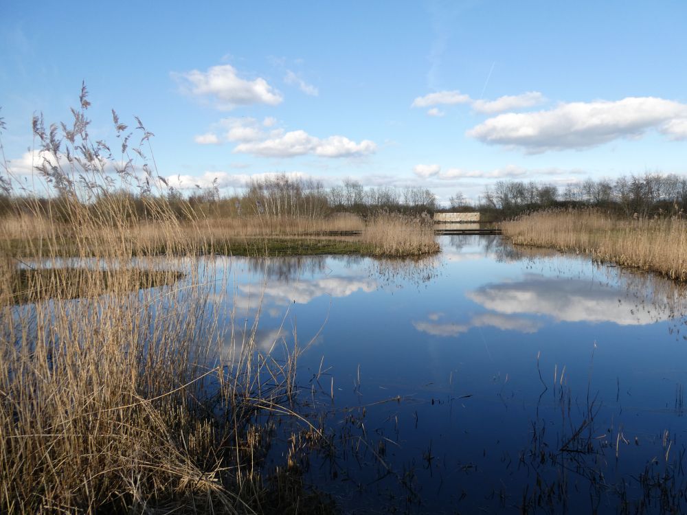 De Schammer in Leusden vanaf de kijkwand