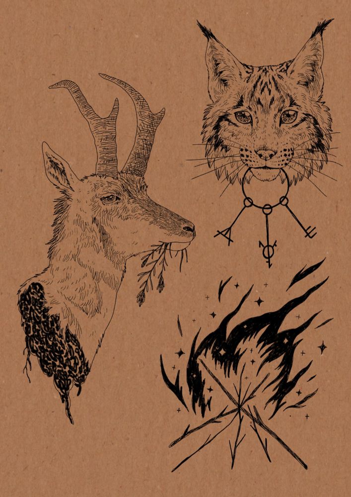left ; decapitated pronghorn head holding indian paintbrush flower, upper right; lynx holding keyset , bottom right; magical flame