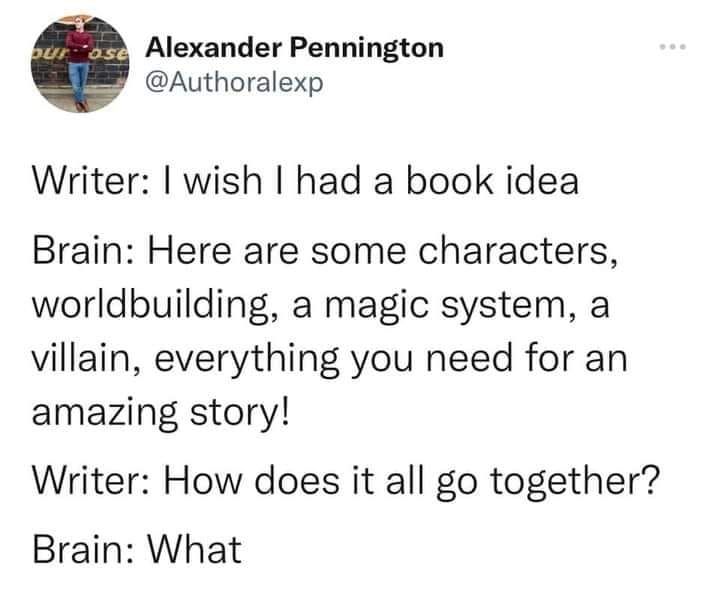 Writer: I wish I had a book idea.
Brain: Here are some characters, worldbuilding, a magic system, a villain, everything you need for an amazing story!
Writer: How does it all go together?
Brain: What