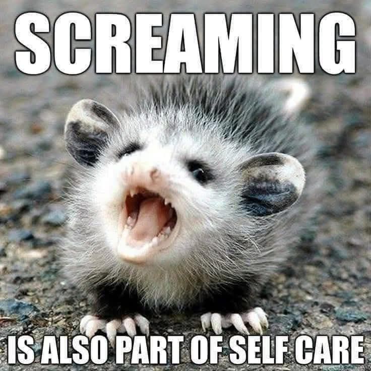 Picture of an opossum with its mouth wide open, captioned "Screaming is also part of self care"