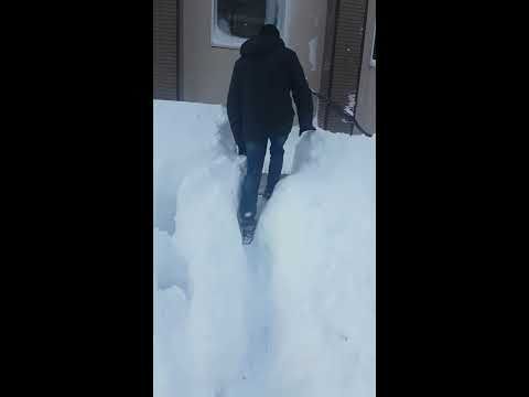 Kamchatka СНЕГА ПО 2 ЭТАЖ!! #shorts