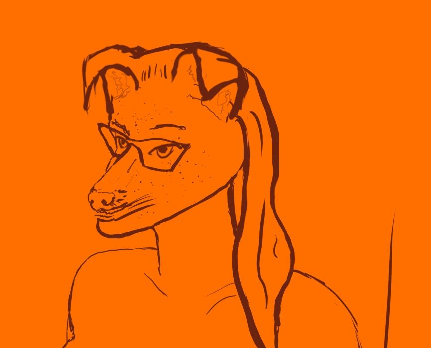 rough sketch of a furry woman with long hair.  brown lines on an orange-ish background