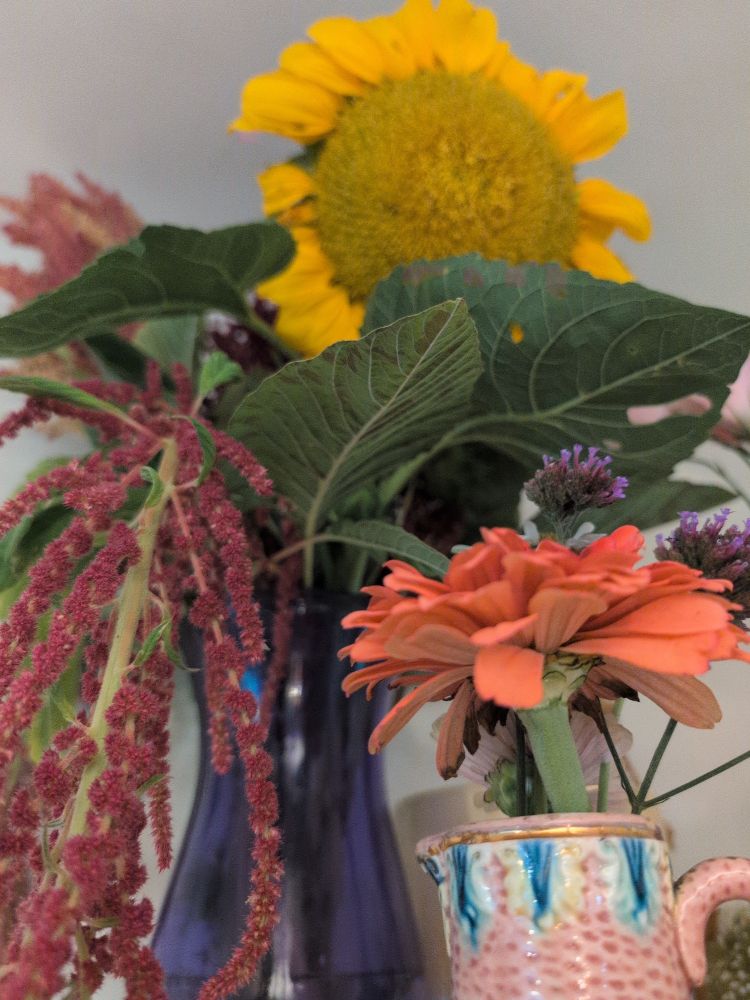 Anyway, here's some flowers I picked.