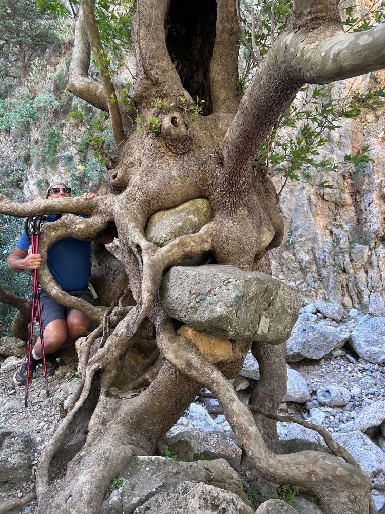 Me being eaten by a tree. It had some boulders as an appetizer.