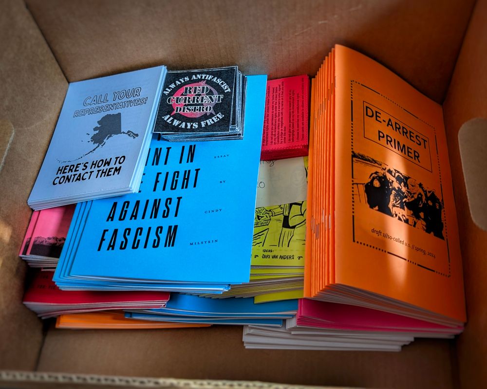 Cardboard box holding several zines with brightly colored covers, cards for contacting Alaska elected representatives, & smaller cards for Red Current Distro.