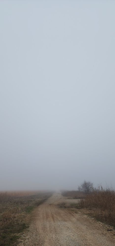 A dirt and gravel road that quickly terminates into a wall of solid fog