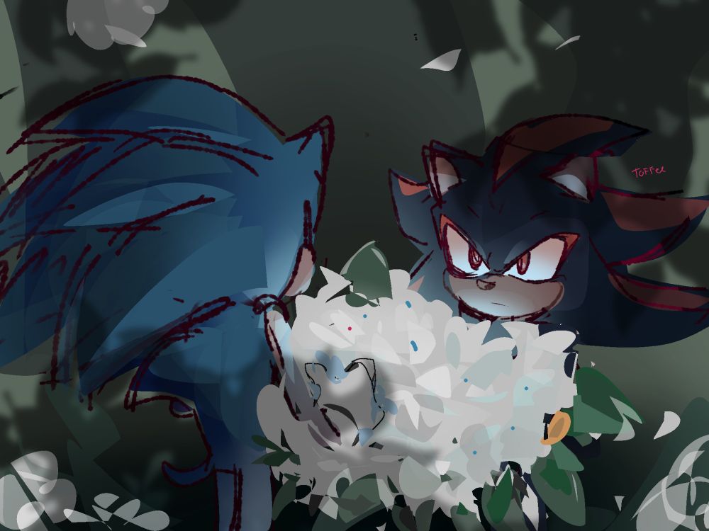 Sonic and shadow holding flowers in a green darkish setting , this is a reference to the posts by sega on their official social media posts