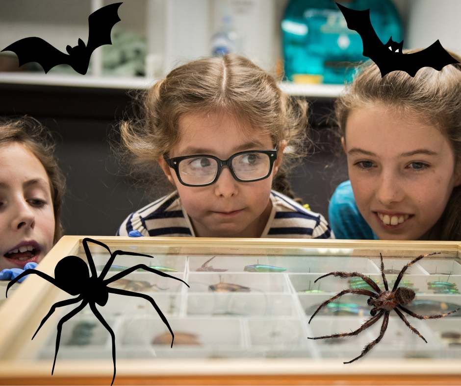 Photo of three young people looking at a tray of insects