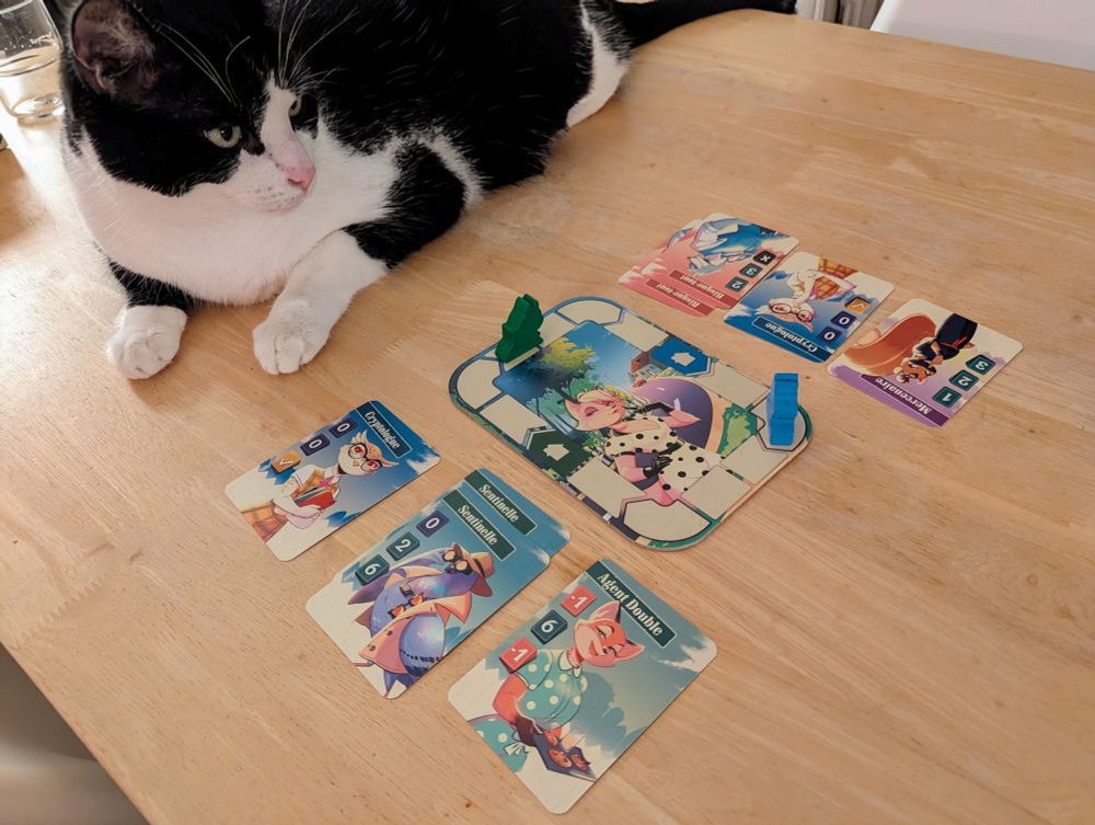 Photo du jeu Agent Avenue avec mon chat Gustave en guest 