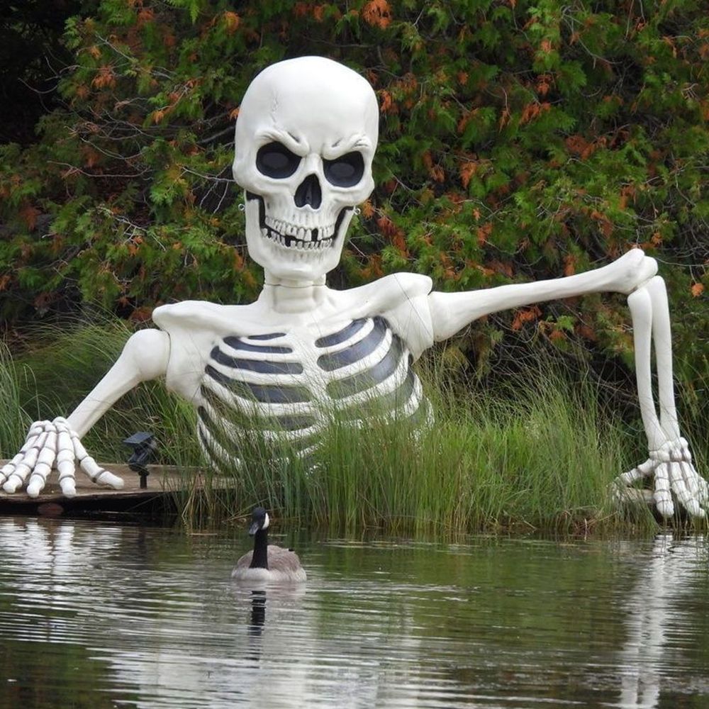 A goose swims in a body of water. There is a large plastic skeleton looming behind it.