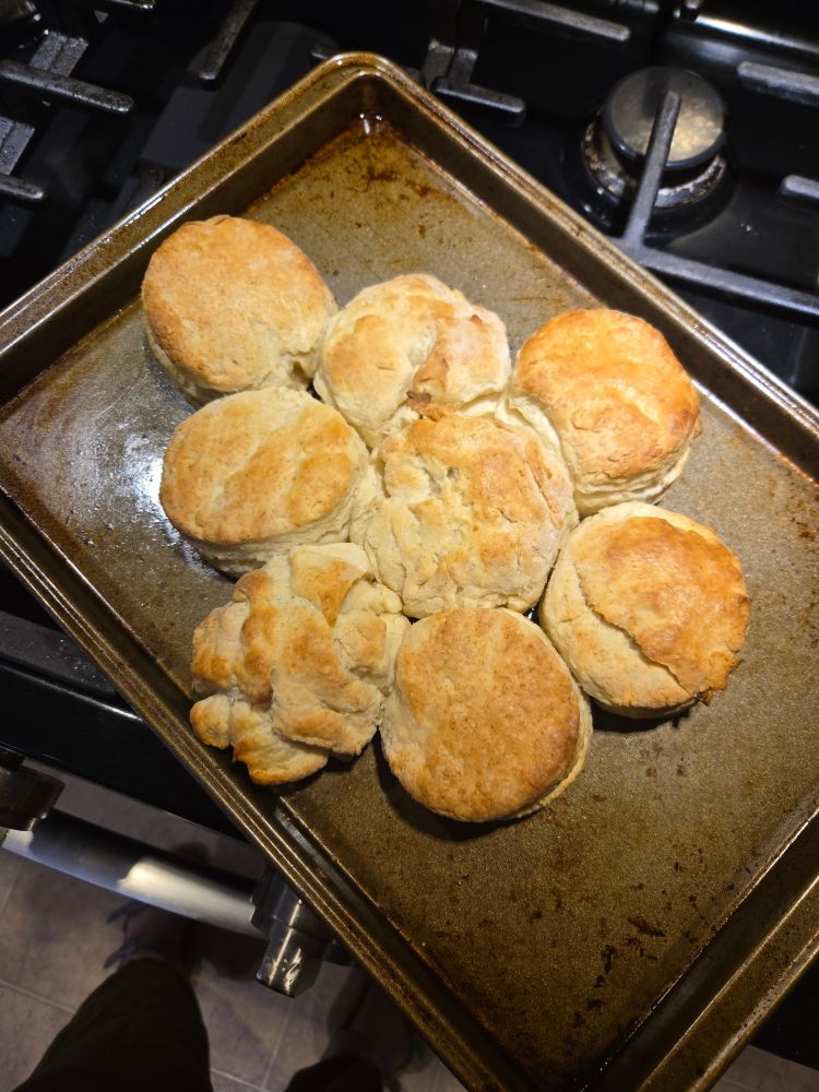 Aerial photo of browned biscuits on a baking tray. A couple of them are made up of scraps from the first rolling.