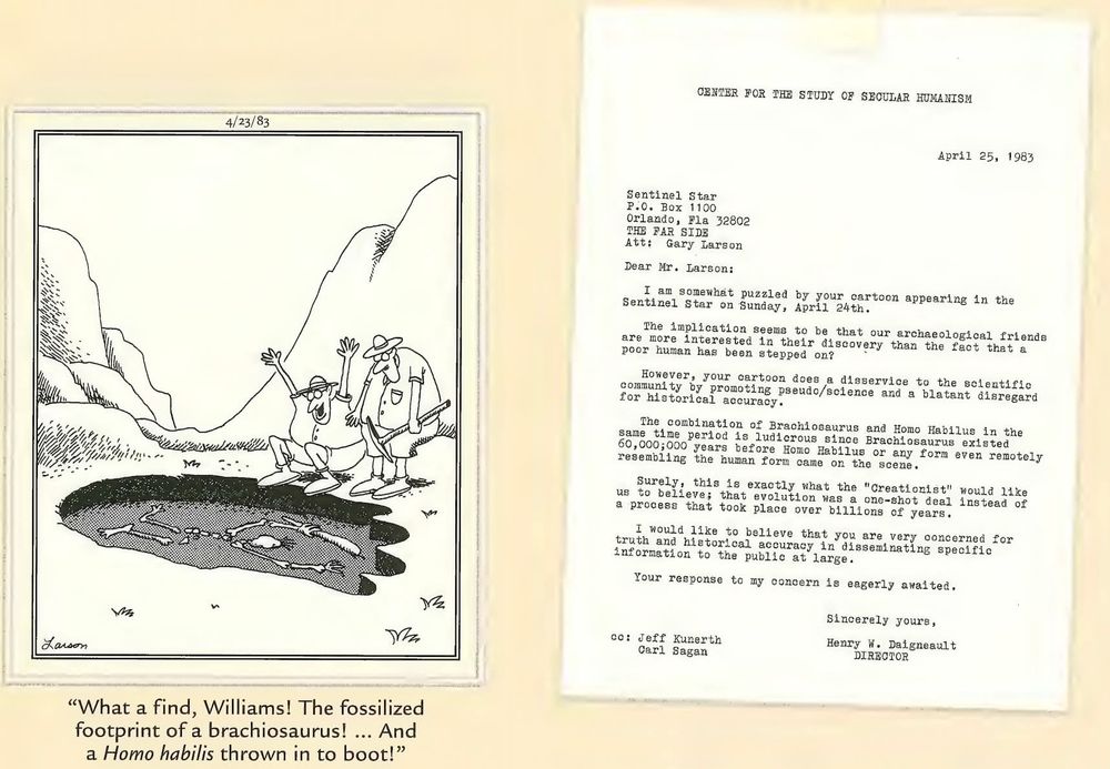 One the left, a Far Side cartoon in which two paleontologist discover a giant footprint in which a humanoid skeleton has been crushed. One paleontologist exclaims, "What a find, Williams! The fossilized footprint of a brachiosaurus! ... And a home ability thrown in to boot!"

On the right, a letter which reads as follows: 

CENTER FOR THE STUDY OF SECULAR HUMANISM 
April 25, 1983 
Sentinel Star P.O. Box 1100 Orlando, Fla 32802 THE FAR SIDE Att: Gary Larson 
Dear Mr. Larson: 
I am somewhat puzzled by your cartoon appearing in the Sentinel Star on Sunday, April 24th. The implication seems to be that our archaeological friends are more interested in their discovery than the fact that a poor human has been stepped on? 
However, your cartoon does a disservice to the scientific community by promoting pseudo/science and a blatant disregard for historical accuracy. 
The combination of Brachiosaurus and Homo Habilus in the same time period is ludicrous since Brachiosaurus existed 60,000;000 years before Homo Habilus or any form even remotely resembling the human form came on the scene. Surely, this is exactly what the "Creationist" would like us to believe; that evolution was a one-shot deal instead of a process that took place over billions of years. I would like to believe that you are very concerned for truth and historical accuracy in disseminating specific information to the public at large. 
Your response to my concern is eagerly awaited. 
cc: Jeff Kunerth Carl Sagan 
Sincerely yours, Henry W. Daigneault DIRECTOR 


