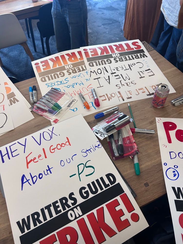 Hand made picket sign reads "Hey Vox, feel good about our strike? -PS"