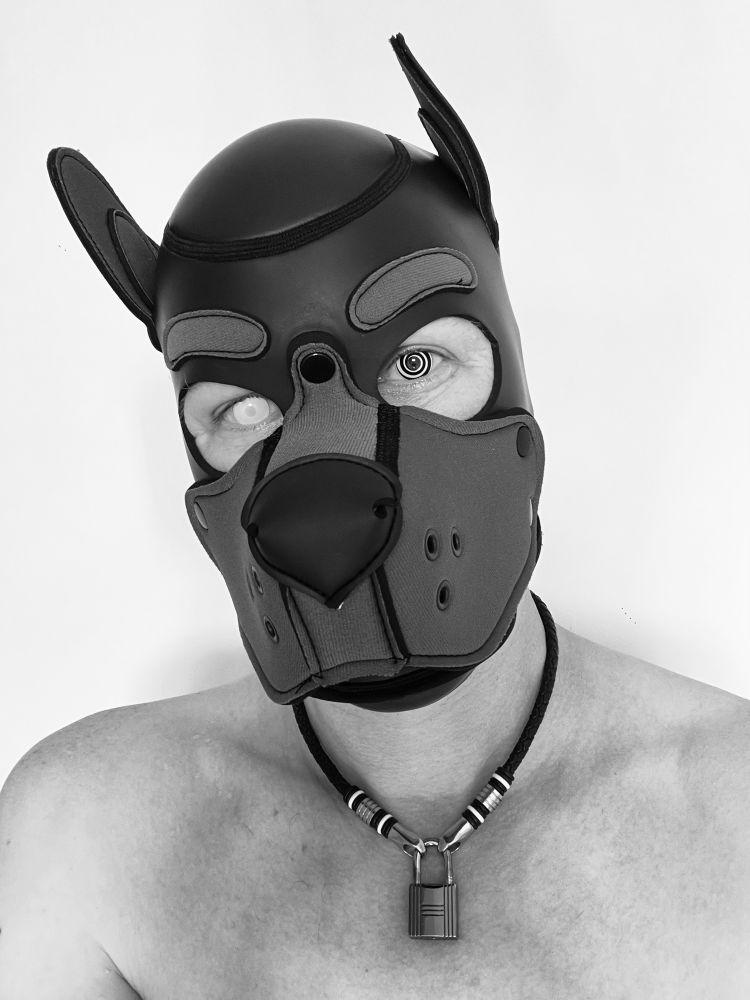 A monochromatic selfie in a pup hood, with a spiral contact in one eye and a plain white contact in the other. 