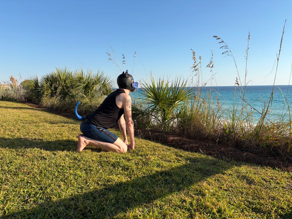 A human pup kneels on all fours in grass, looking out at the sea in front of him 