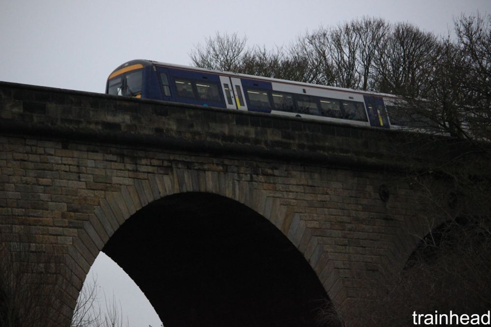 Northern Class 170 on the Arthington Viaduct coming out of some trees