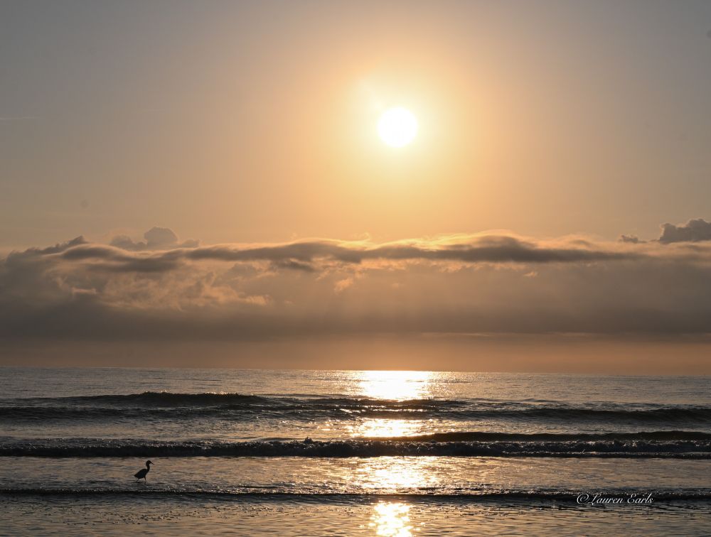 A Snowy Egret stands in silhouette near the left corner of the photo, facing right, in the direction of the newly risen sun and it's vertical reflection on the Atlantic Ocean. Several Gentle breaking. waves make up the foeground. A bright white sun with a inner yellow and outer orange corona is at the top, just off center to the right.  Below it are creamy looking clouds, the tops of which are yellow, reflecting the sun, the middle and bottom portions in gray shadow and patches of light yellow.  The ocean underneath vertically reflects the sun, splitting the ocean down the middle with reflected white-yellow light.  