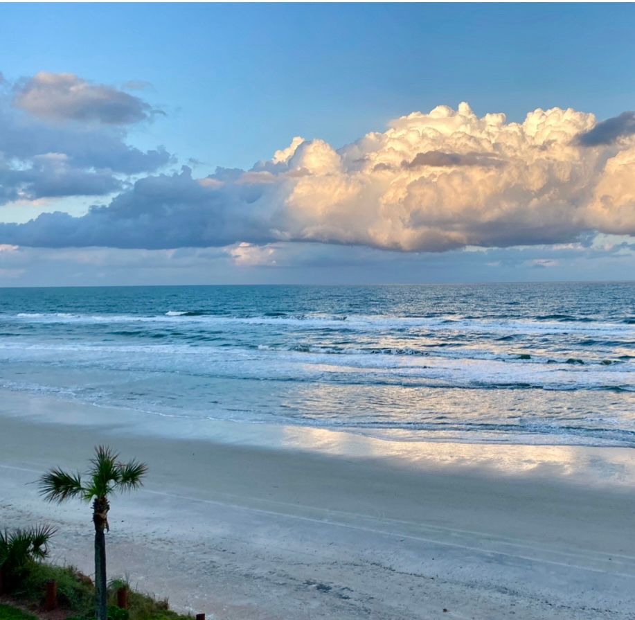 A lone palm tree stands amidst some mangroves in the bottom left corner. In front of it is a gray blue sandy beach that meets the blue and turquoise water of the Atlantic Ocean. A long, fluffy cumulus cloud extends through the top of the photo, sunlit in the right half, and shadowed in bluish gray in the left half. More bluish gray clouds hang over the shaded part on the left. The Atlantic reflects the white and yellow sunlit clouds from the horizon to the sandy beach.