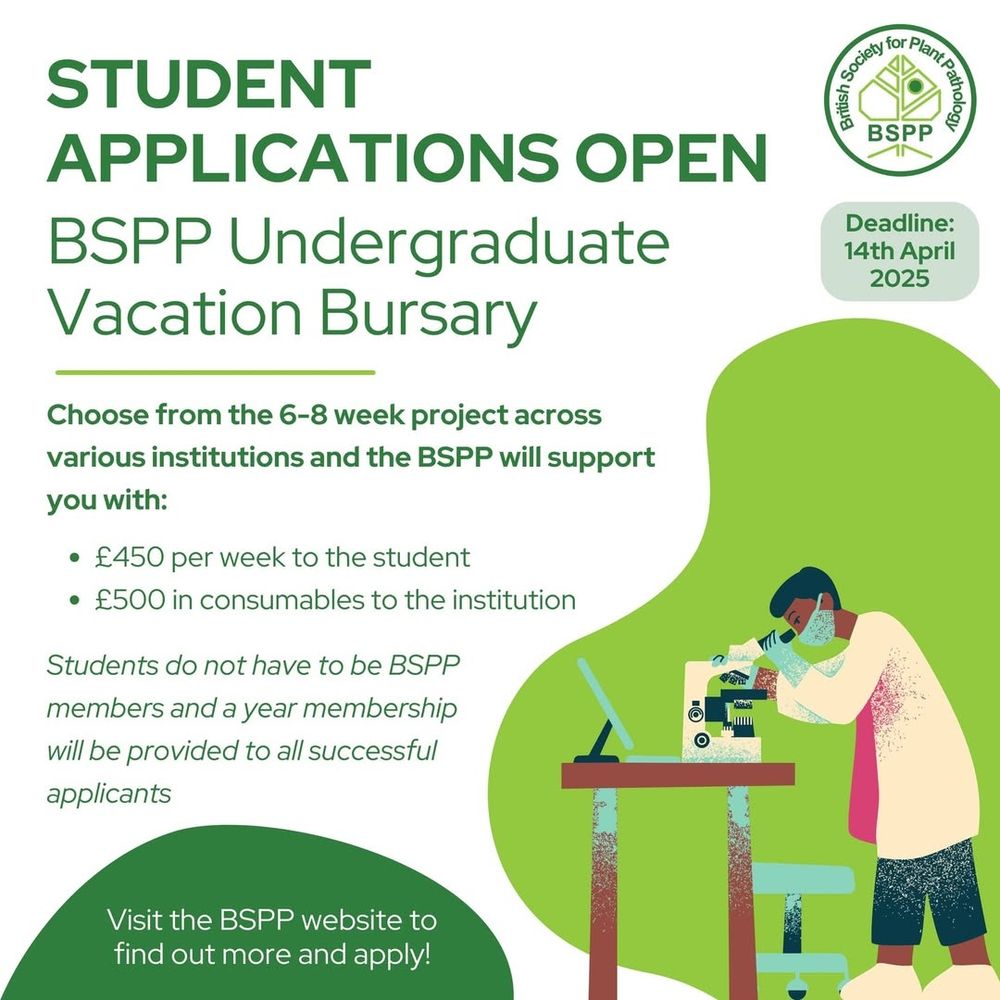Image of person at a microscope with text explaining the BSPP Undergraduate Vacation Bursary. Projects run 6-8 weeks in the summer, students receive £450 per week. Students do not have to be BSPP members.